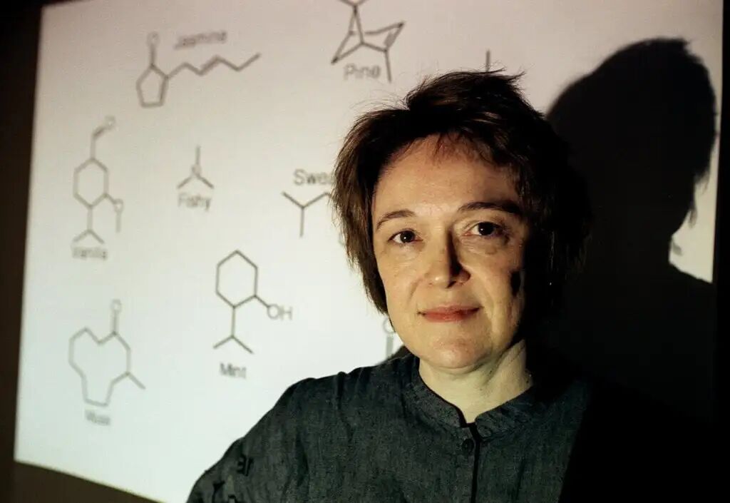 1760520446223085069.jpeg 1760520446223085069.jpeg