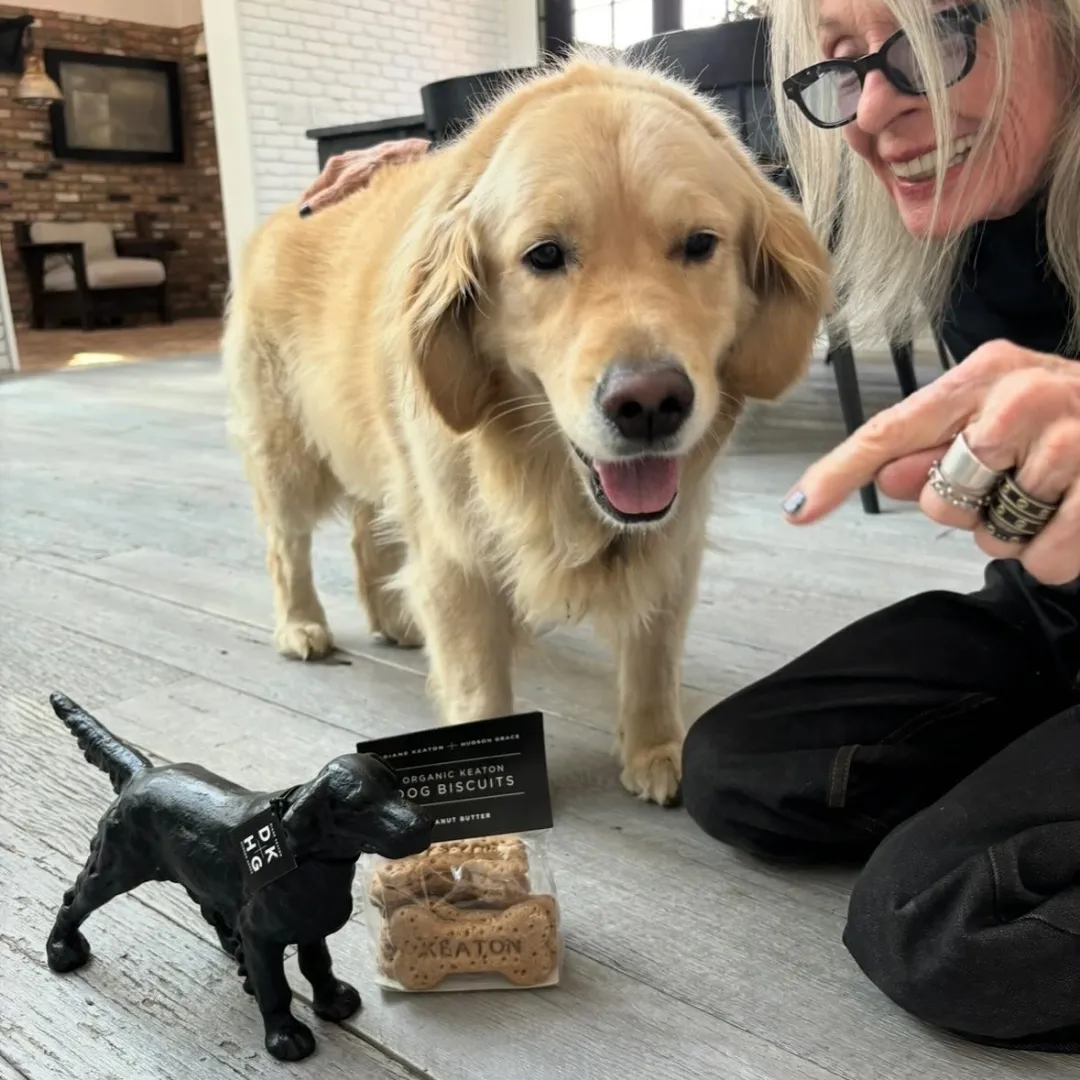 1761301648832030321.jpg 1761301648832030321.jpg