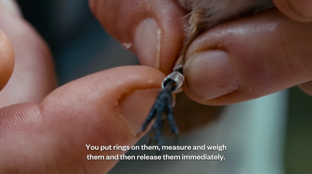 1761723747457061565.png 1761723747457061565.png