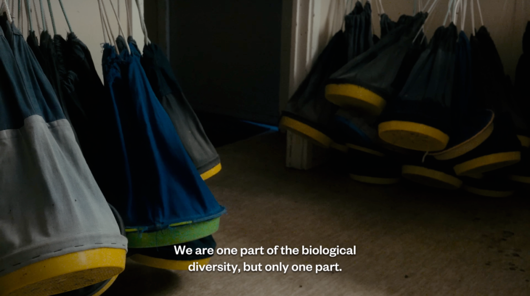 1761724100833020693.png 1761724100833020693.png