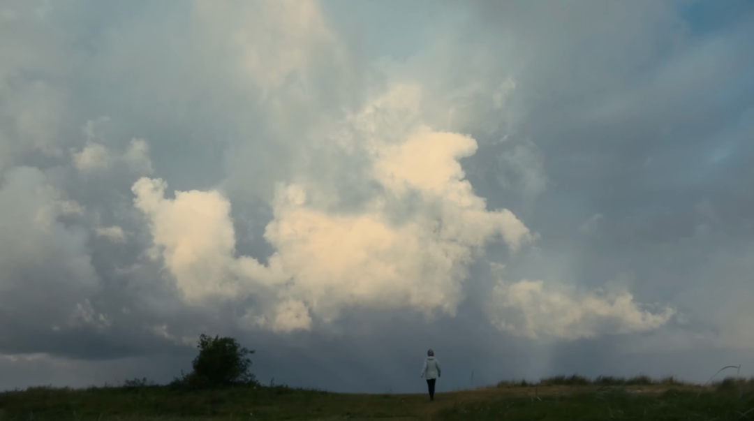 1761724292393006320.png 1761724292393006320.png