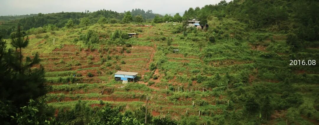 1762256173424093985.jpeg 1762256173424093985.jpeg