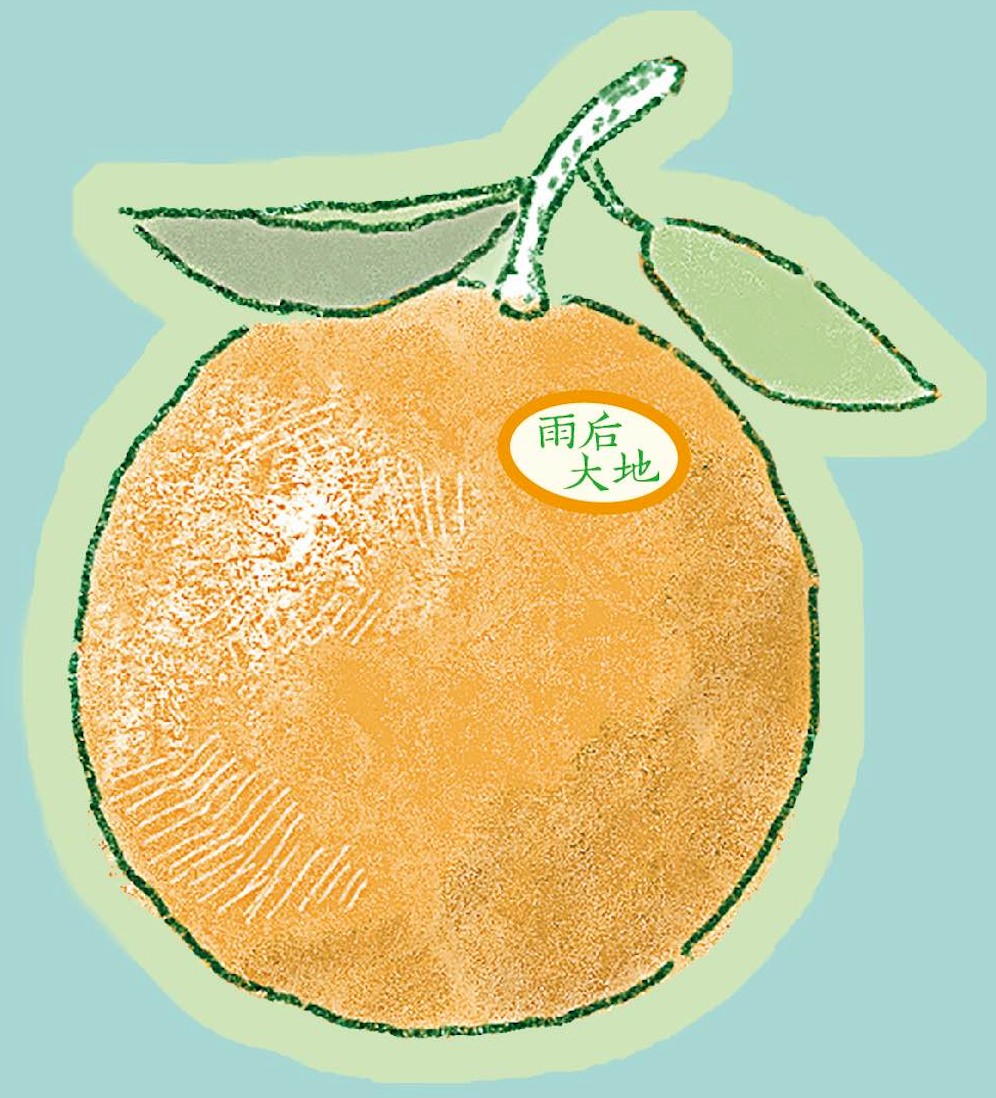 1762256412713086520.png 1762256412713086520.png