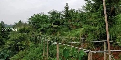 1762256526061057663.jpeg 1762256526061057663.jpeg