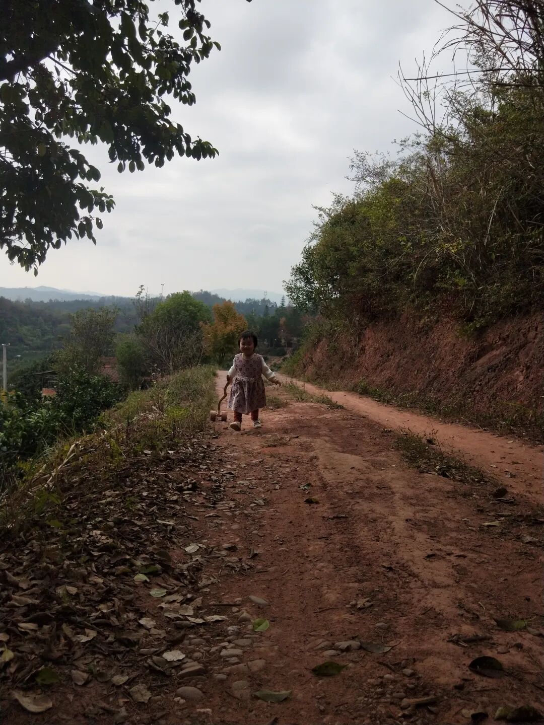 1762256665166045286.jpeg 1762256665166045286.jpeg